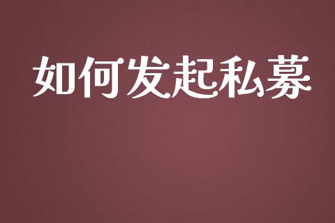 如何发起私募_https://www.qmgjg.com_恒生指数期货_第1张