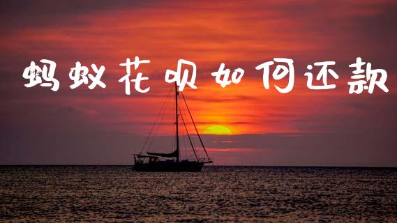 蚂蚁花呗如何还款_https://www.qmgjg.com_恒生指数期货_第1张