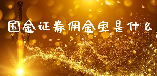 国金证券佣金宝是什么_https://www.qmgjg.com_恒生指数期货_第1张