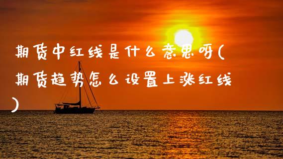 期货中红线是什么意思呀(期货趋势怎么设置上涨红线)_https://www.qmgjg.com_恒生指数期货_第1张