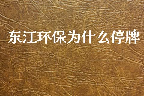 东江环保为什么停牌_https://www.qmgjg.com_港股恒生指数_第1张