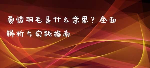 爱惜羽毛是什么意思？全面解析与实践指南_https://www.qmgjg.com_恒生指数期货_第1张