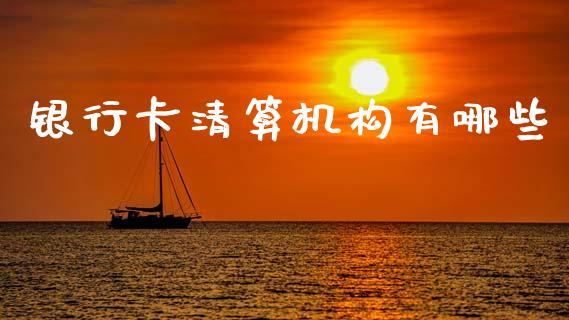 银行卡清算机构有哪些_https://www.qmgjg.com_恒生指数期货_第1张