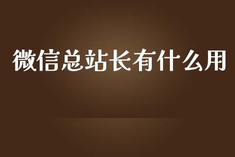 微信总站长有什么用_https://www.qmgjg.com_恒生指数是什么_第1张