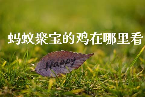 蚂蚁聚宝的鸡在哪里看_https://www.qmgjg.com_恒生指数期货_第1张