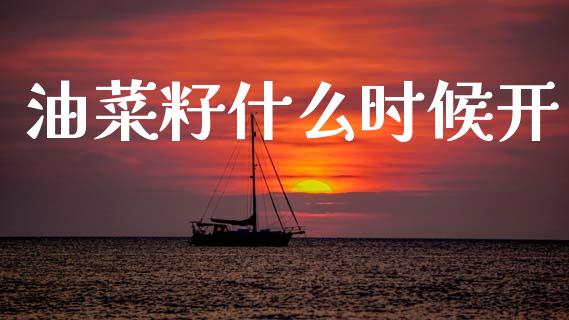 油菜籽什么时候开_https://www.qmgjg.com_港股恒生指数_第1张