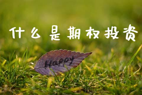 什么是期权投资_https://www.qmgjg.com_恒生指数是什么_第1张
