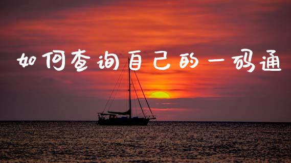 如何查询自己的一码通_https://www.qmgjg.com_恒生指数期货_第1张