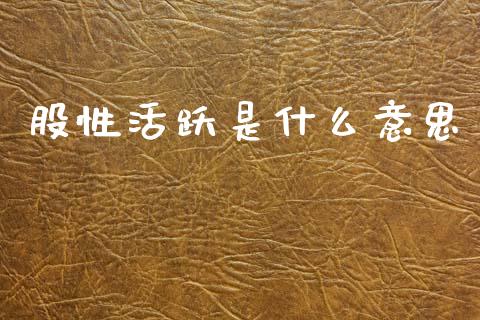 股性活跃是什么意思_https://www.qmgjg.com_港股恒生指数_第1张