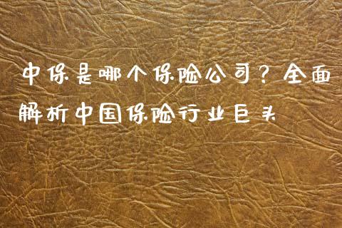中保是哪个保险公司？全面解析中国保险行业巨头_https://www.qmgjg.com_恒生指数是什么_第1张