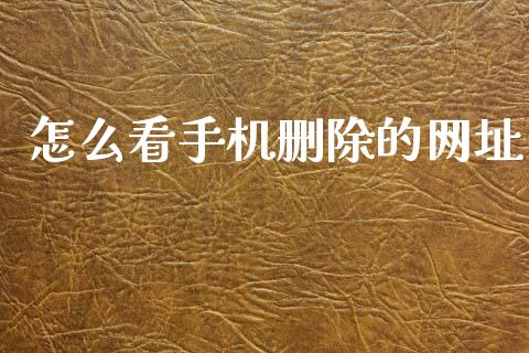 怎么看手机删除的网址_https://www.qmgjg.com_港股恒生指数_第1张