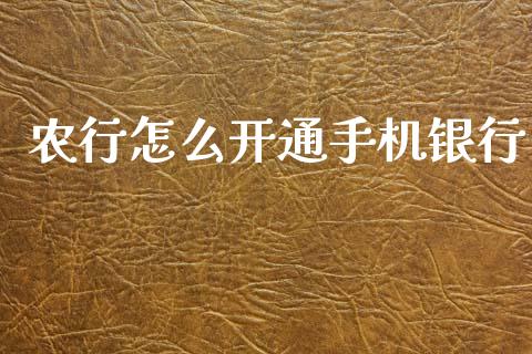 农行怎么开通手机银行_https://www.qmgjg.com_香港恒生指数_第1张