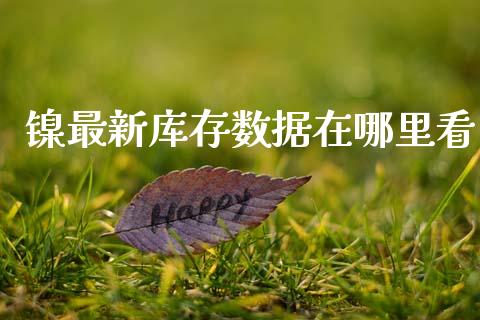 镍最新库存数据在哪里看_https://www.qmgjg.com_香港恒生指数_第1张