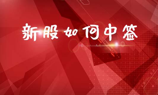 新股如何中签_https://www.qmgjg.com_港股恒生指数_第1张
