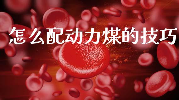 怎么配动力煤的技巧_https://www.qmgjg.com_恒生指数是什么_第1张