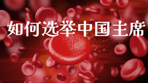 如何选举中国主席_https://www.qmgjg.com_恒生指数是什么_第1张