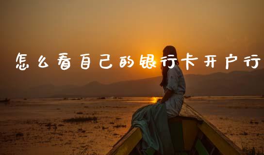 怎么看自己的银行卡开户行_https://www.qmgjg.com_香港恒生指数_第1张