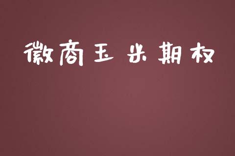 徽商玉米期权_https://www.qmgjg.com_恒生指数是什么_第1张