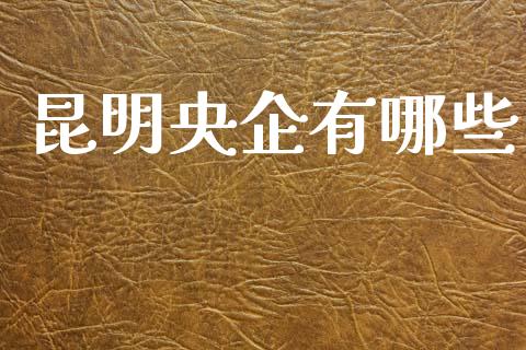 昆明央企有哪些_https://www.qmgjg.com_恒生指数是什么_第1张