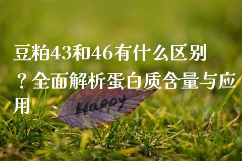 豆粕43和46有什么区别？全面解析蛋白质含量与应用_https://www.qmgjg.com_恒生指数是什么_第1张