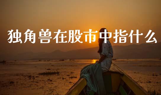 独角兽在股市中指什么_https://www.qmgjg.com_香港恒生指数_第1张
