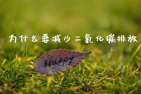为什么要减少二氧化碳排放_https://www.qmgjg.com_恒生指数是什么_第1张