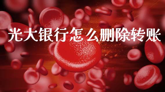 光大银行怎么删除转账_https://www.qmgjg.com_恒生指数期货_第1张