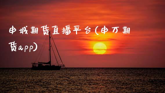 申城期货直播平台(申万期货app)_https://www.qmgjg.com_香港恒生指数_第1张