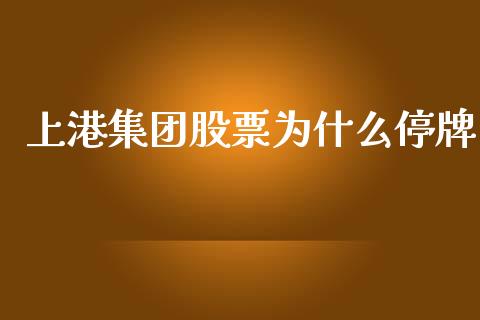 上港集团股票为什么停牌_https://www.qmgjg.com_恒生指数是什么_第1张