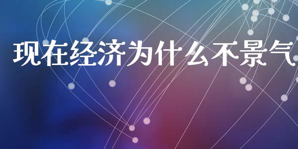 现在经济为什么不景气_https://www.qmgjg.com_恒生指数期货_第1张