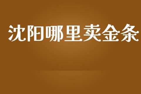 沈阳哪里卖金条_https://www.qmgjg.com_港股恒生指数_第1张
