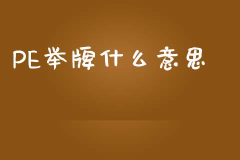 PE举牌什么意思_https://www.qmgjg.com_恒生指数是什么_第1张