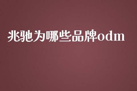 兆驰为哪些品牌odm_https://www.qmgjg.com_香港恒生指数_第1张