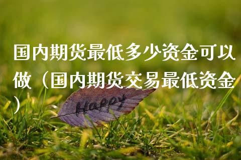 国内期货最低多少资金可以做（国内期货交易最低资金）_https://www.qmgjg.com_恒生指数期货_第1张
