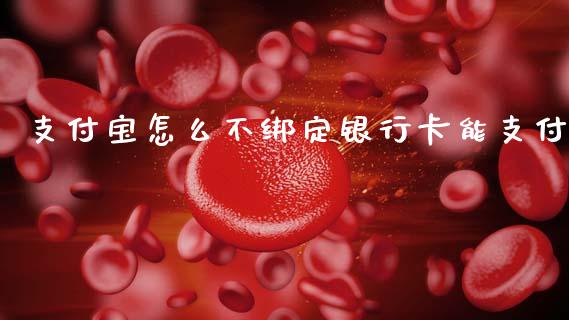 支付宝怎么不绑定银行卡能支付_https://www.qmgjg.com_恒生指数期货_第1张