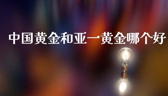 中国黄金和亚一黄金哪个好_https://www.qmgjg.com_恒生指数是什么_第1张