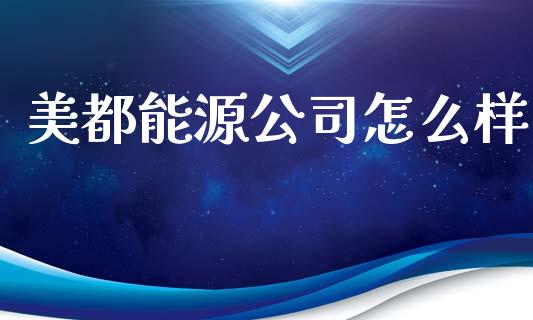 美都能源公司怎么样_https://www.qmgjg.com_恒生指数期货_第1张