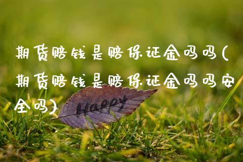 期货赔钱是赔保证金吗吗(期货赔钱是赔保证金吗吗安全吗)_https://www.qmgjg.com_恒生指数是什么_第1张