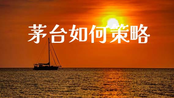 茅台如何策略_https://www.qmgjg.com_恒生指数期货_第1张