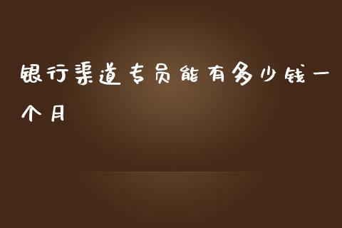 银行渠道专员能有多少钱一个月_https://www.qmgjg.com_港股恒生指数_第1张