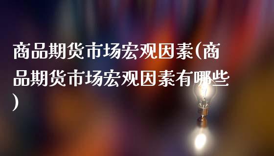 商品期货市场宏观因素(商品期货市场宏观因素有哪些)_https://www.qmgjg.com_恒生指数期货_第1张