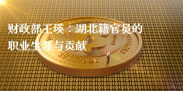 财政部王瑛：湖北籍官员的职业生涯与贡献_https://www.qmgjg.com_港股恒生指数_第1张