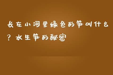 长在小河里绿色的笋叫什么？水生笋的秘密_https://www.qmgjg.com_香港恒生指数_第1张