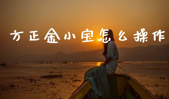 方正金小宝怎么操作_https://www.qmgjg.com_恒生指数期货_第1张
