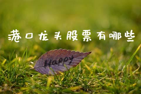 港口龙头股票有哪些_https://www.qmgjg.com_恒生指数期货_第1张