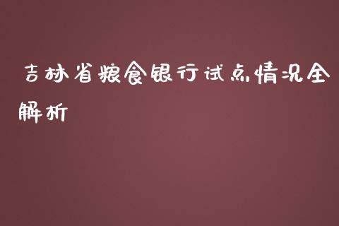 吉林省粮食银行试点情况全解析_https://www.qmgjg.com_恒生指数期货_第1张
