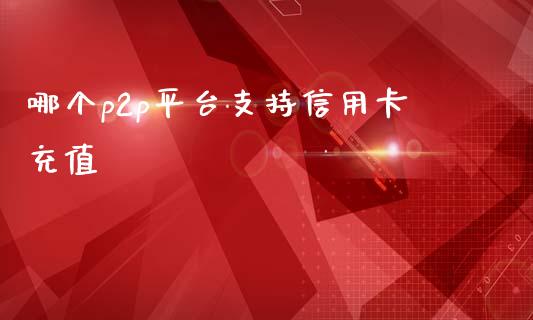 哪个p2p平台支持信用卡充值_https://www.qmgjg.com_恒生指数期货_第1张