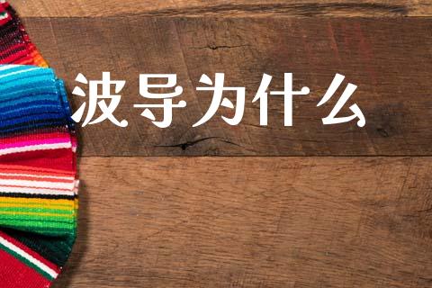 波导为什么_https://www.qmgjg.com_港股恒生指数_第1张