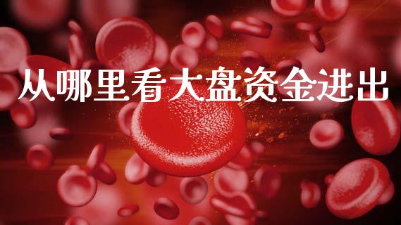 从哪里看大盘资金进出_https://www.qmgjg.com_香港恒生指数_第1张
