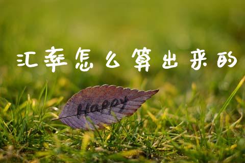 汇率怎么算出来的_https://www.qmgjg.com_恒生指数期货_第1张